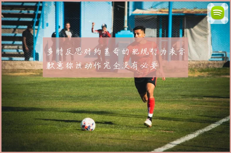多特反思对约基奇的犯规行为表示歉意称该动作完全没有必要