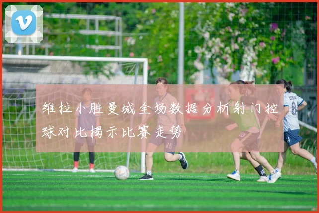 维拉小胜曼城全场数据分析射门控球对比揭示比赛走势